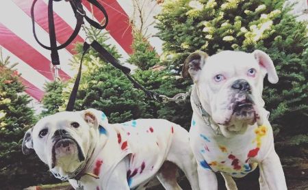 Jennifer Landon is reportedly dating Nany Ficman.